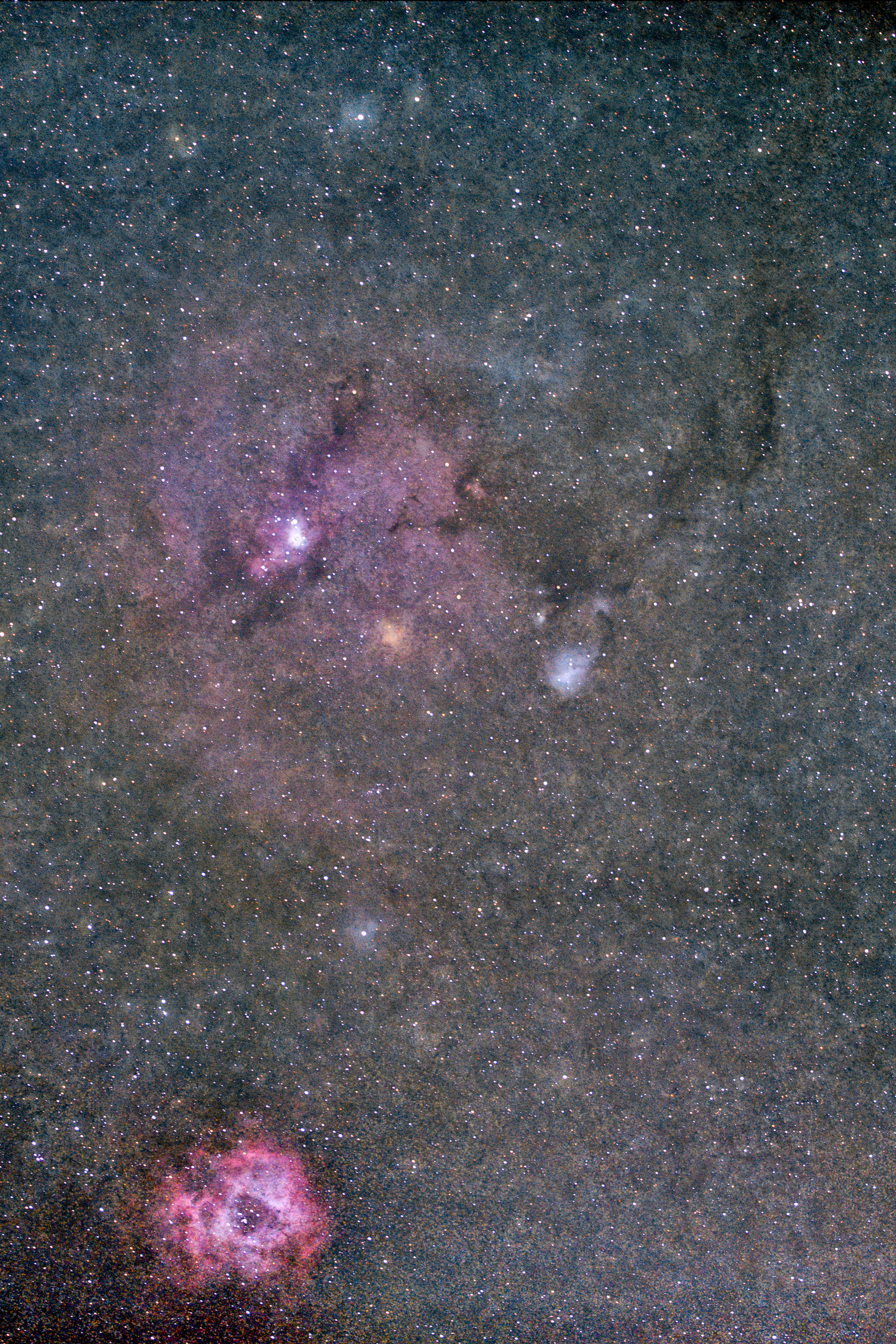 2026英仙座流星雨